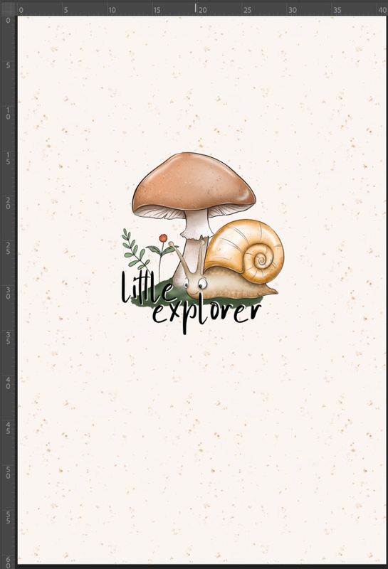 FT panel Little Explorer A, str M,  40x60cm