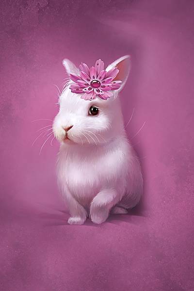 Dukkepanel jersey - kanin