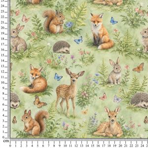 Hovedbilde Jersey Skogseventyr